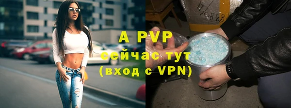 твердый Кинешма