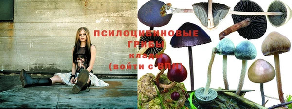 прущая мука Киренск
